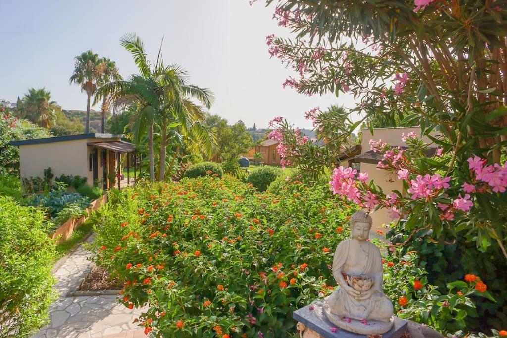Finca Tierra Sana 에스테포나 외부 사진