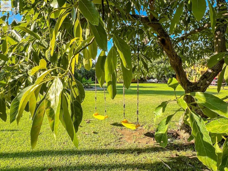 Finca Tierra Sana 에스테포나 외부 사진